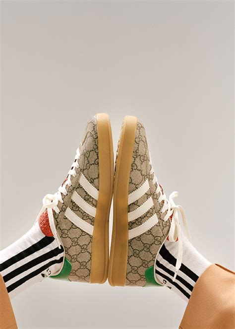 adidads gucci